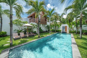 Villa Palm Tree