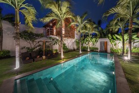 Villa Palm Tree