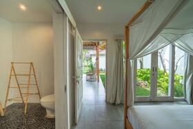 Villa Palm Tree