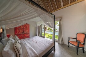 Villa Palm Tree