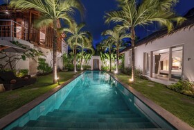 Villa Palm Tree