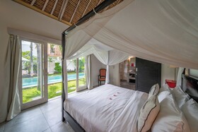 Villa Palm Tree