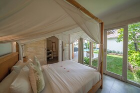 Villa Palm Tree