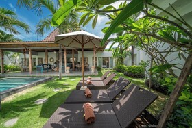 Villa Palm Tree