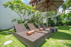 Villa Palm Tree