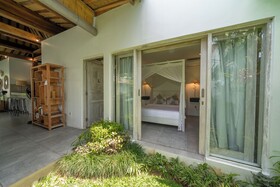 Villa Palm Tree