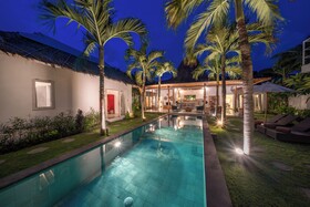 Villa Palm Tree