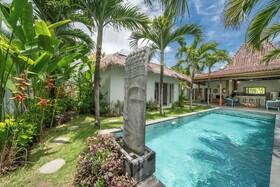 Villa Palm Tree