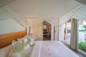 Villa Palm Tree