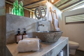 Villa Palm Tree
