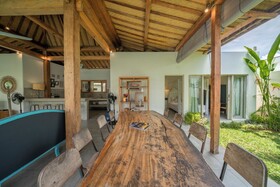 Villa Palm Tree