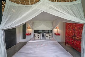 Villa Palm Tree
