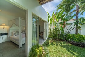 Villa Palm Tree