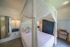 Villa Palm Tree