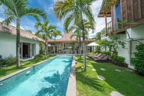 Villa Palm Tree