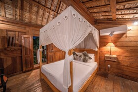 Villa Palm Tree