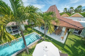 Villa Palm Tree