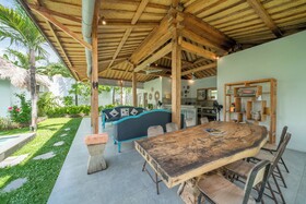 Villa Palm Tree