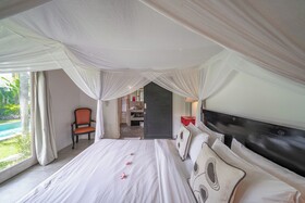 Villa Palm Tree