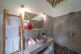 Villa Palm Tree