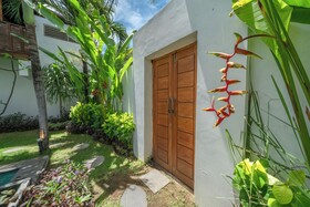 Villa Palm Tree