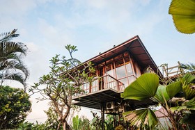 Grün Canggu