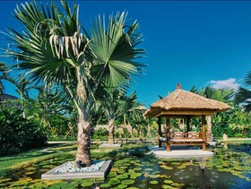 Villa Palmeira