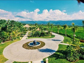 Villa Palmeira