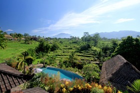 Abian Ayu Villa