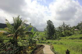 Abian Ayu Villa