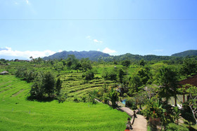 Abian Ayu Villa