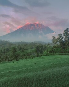 Samanvaya Luxury Resort & Spa