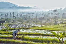 Samanvaya Luxury Resort & Spa