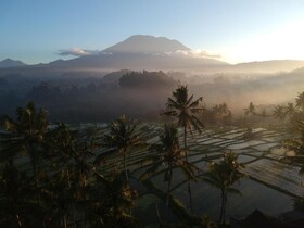 Samanvaya Luxury Resort & Spa