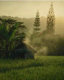 Samanvaya Luxury Resort & Spa