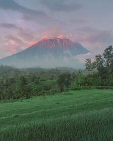 Samanvaya Luxury Resort & Spa