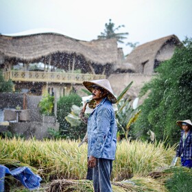 Samanvaya Luxury Resort & Spa