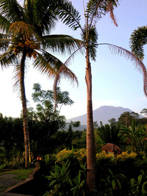 Villa Karma Loka