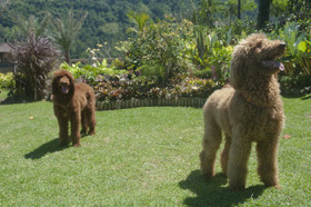 Villa Sing Ken Ken