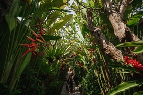 Arkamara Dijiwa Ubud