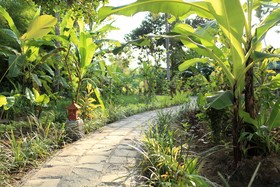 Ubad Retreat