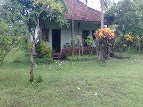 Hepi Bungalow Lovina