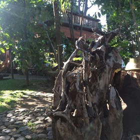 Omunity Bali