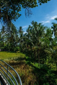 Omunity Bali
