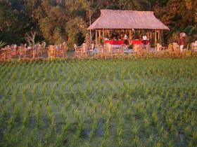 Puri Lumbung Cottages