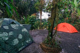 Daydream Lodge