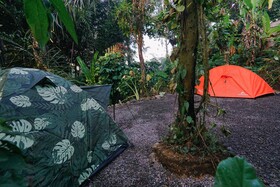 Daydream Lodge