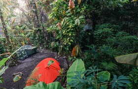 Daydream Lodge