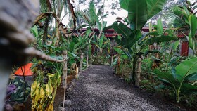 Daydream Lodge