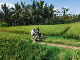 Uma Linggah Resort